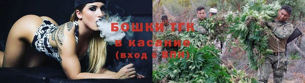 экстази Сосновка
