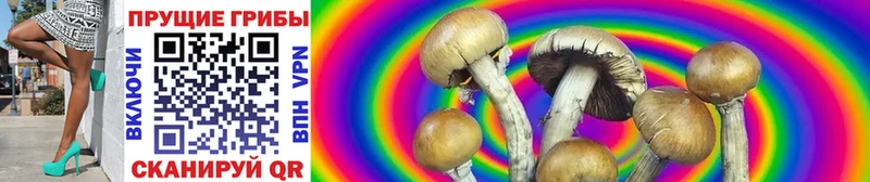 Псилоцибиновые грибы мухоморы  Олонец 